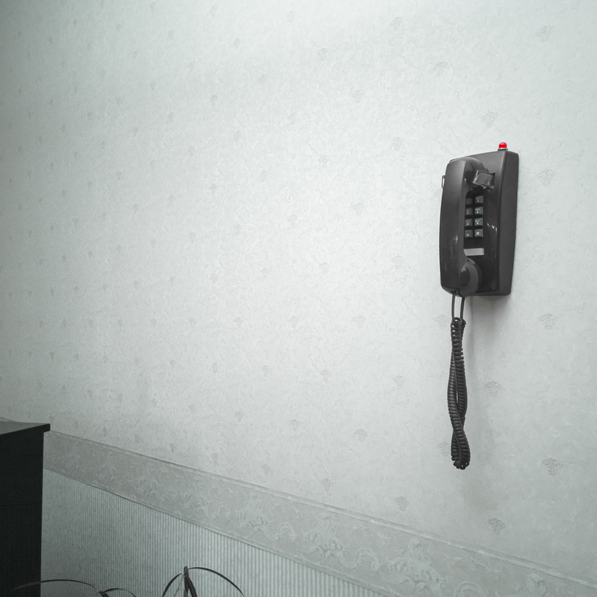Opis WallFon Cable