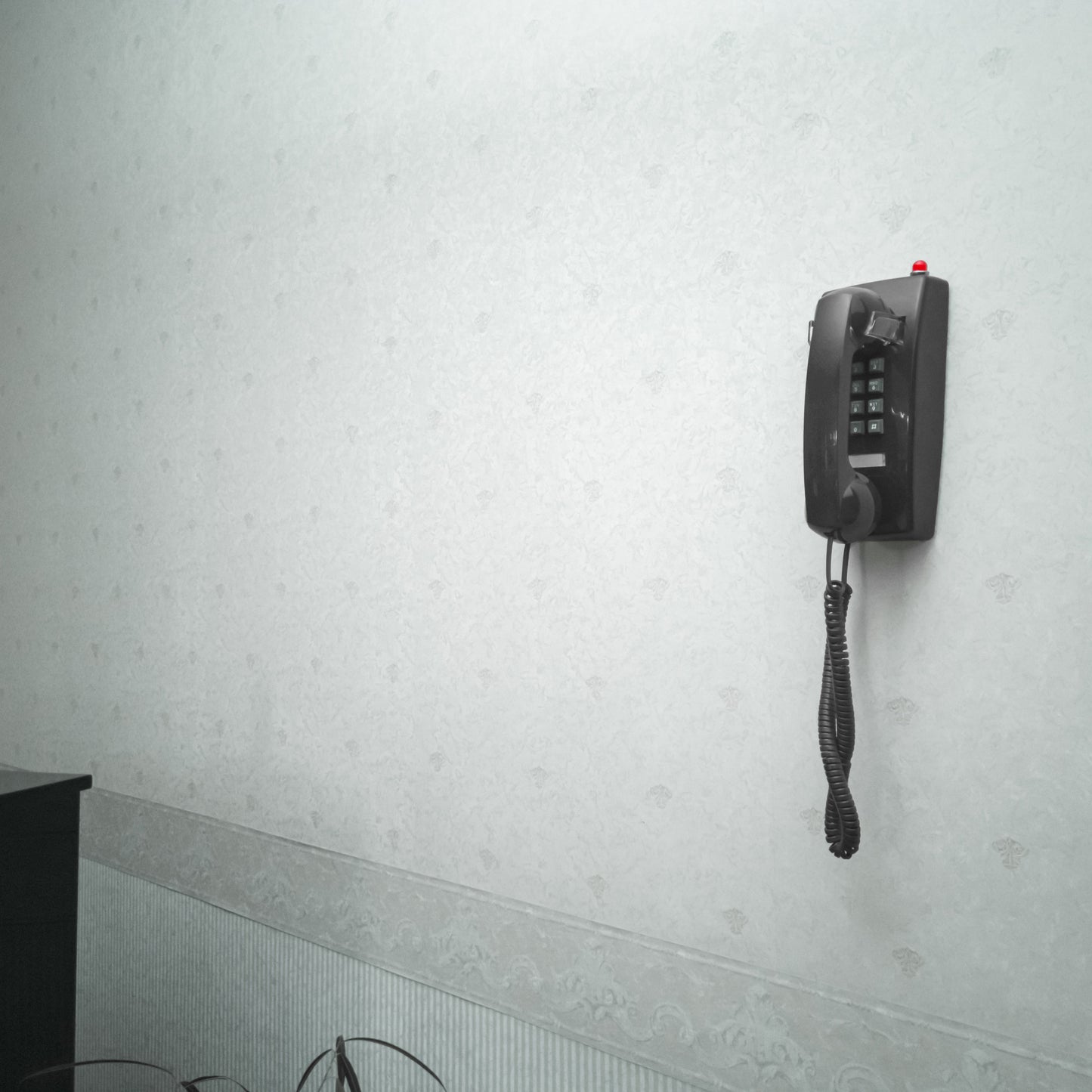 Opis WallFon Cable