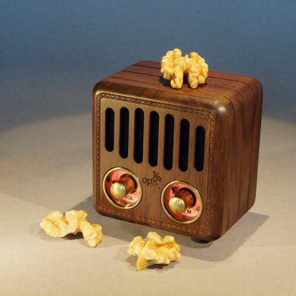 Opis Radio 2 & 3  – Kleiner Hölzerner Retro Bluetooth Lautsprecher und UHF-Radio